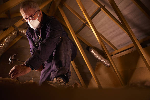 Best Geographic-Specific Insulation Services in New Orleans, LA